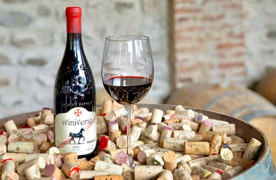 Here are 7 Reasons Why drinking Red Wine is Good for Your Health