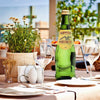 Nabeghlavi Mineral Water: Benefits, Daily Wellness, and Why It Stands Apart