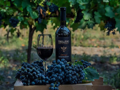 UNDERSTANDING THE WORLD OF NATURAL WINE AND ORGANIC WINE