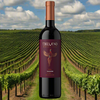 SACHINO Red 2020 (Medium Dry) - TAMADA