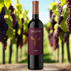 SACHINO Red 2020 (Medium Dry) - TAMADA