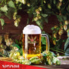 Zedazeni Georgian Beer 500ml (Glass Bottle) 5% - TAMADA
